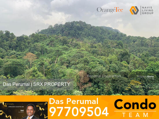 The Skywoods (D23), Condominium #282500531